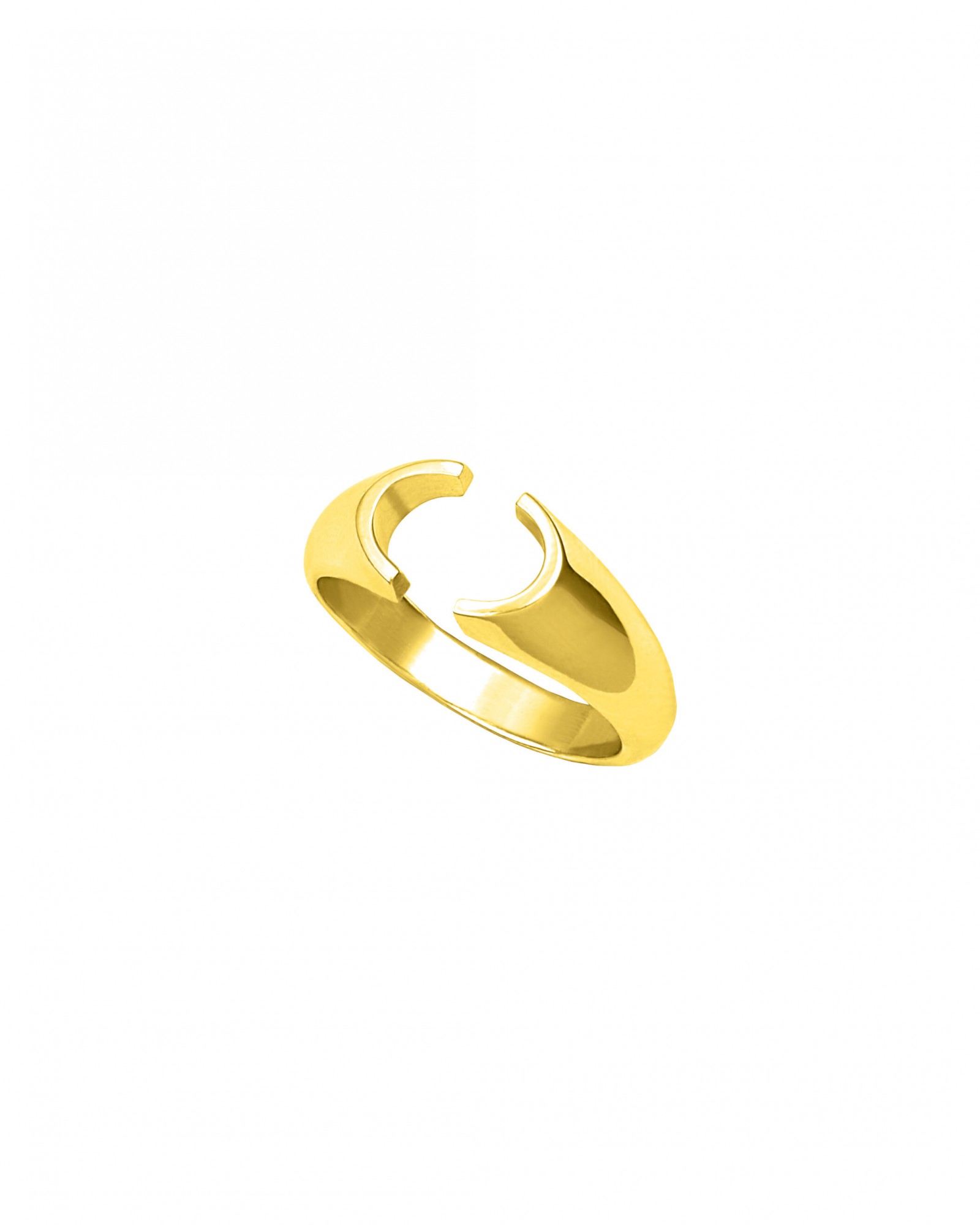 Anti Signet Ring